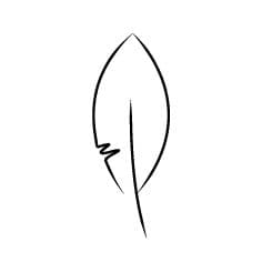 animation image